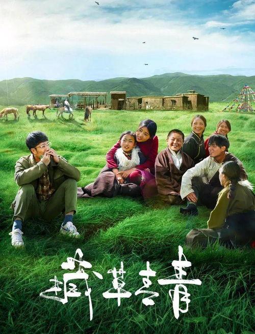 青青青草国产免费观看,国产免费观看，绿色生态影视盛宴